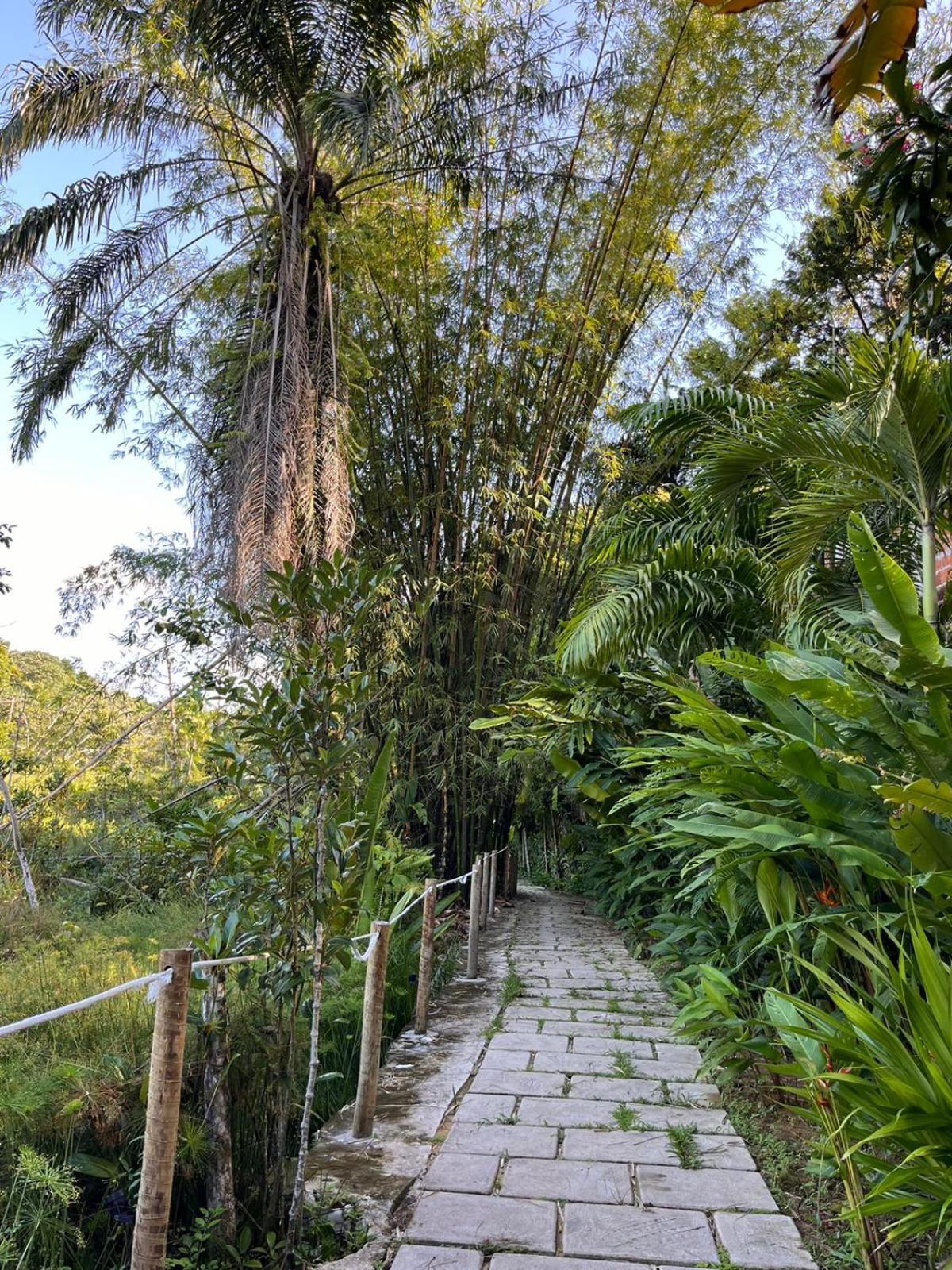 Jardim Botanico Casa Rossa Bungalows & Apartments Морро-де-Сан-Паулу Экстерьер фото