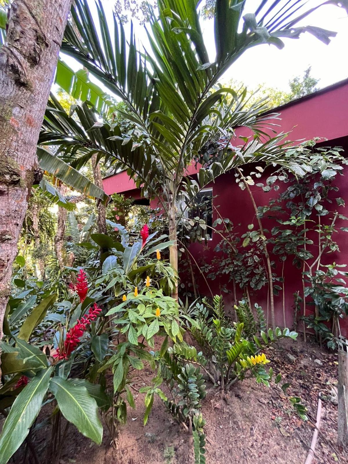 Jardim Botanico Casa Rossa Bungalows & Apartments Морро-де-Сан-Паулу Экстерьер фото